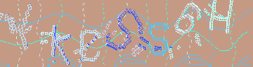 CAPTCHA 認証コード
