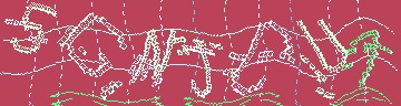 CAPTCHA 認証コード