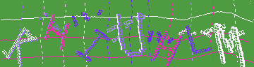 CAPTCHA 認証コード