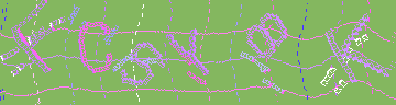 CAPTCHA 認証コード