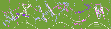 CAPTCHA 認証コード
